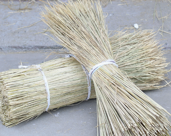 Dried Straw