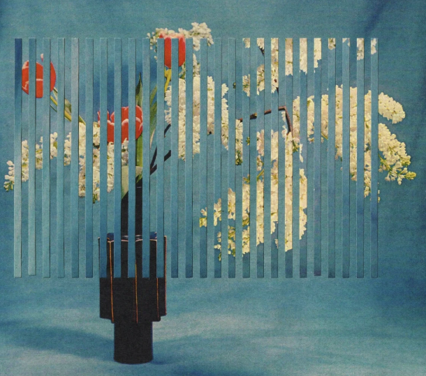 Plastic decorative（测试）